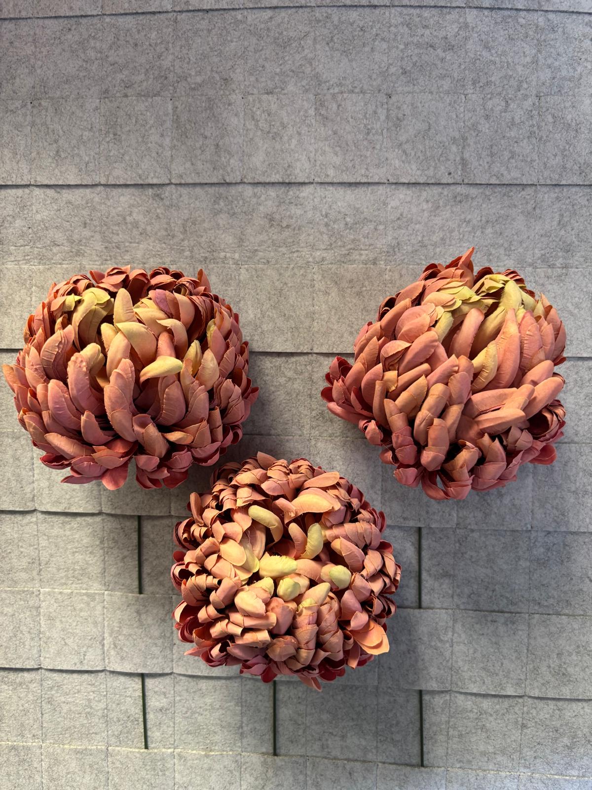Chryzantema wyrobowa,premium