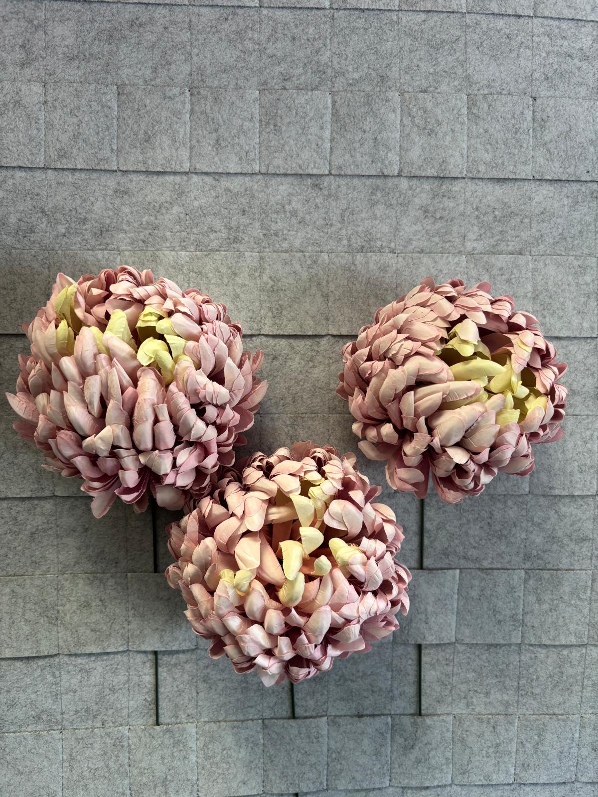 Chryzantema wyrobowa, premium