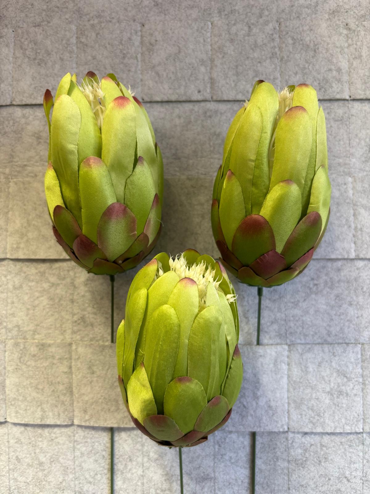 Karczoch/protea