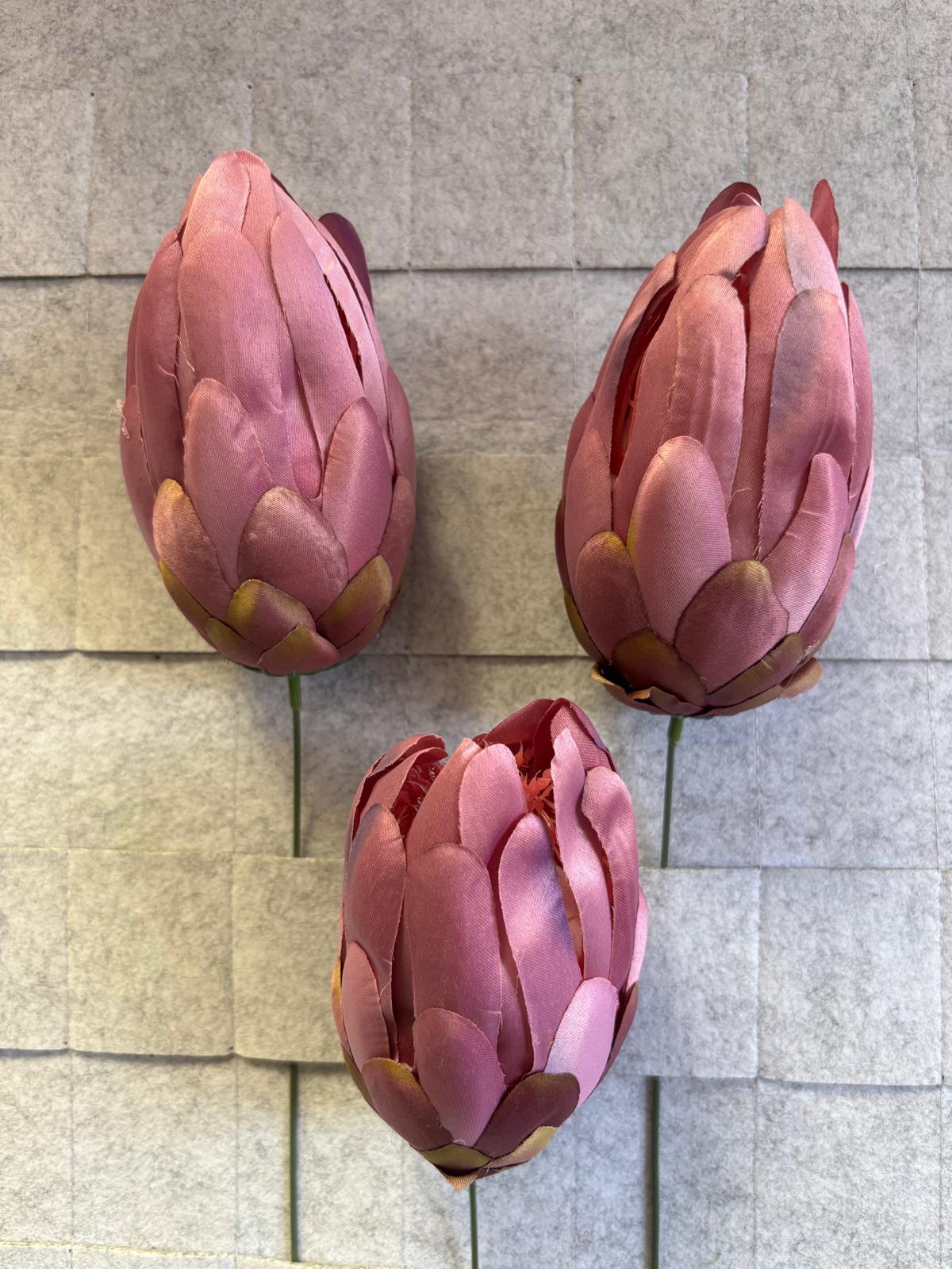 Karczoch/protea
