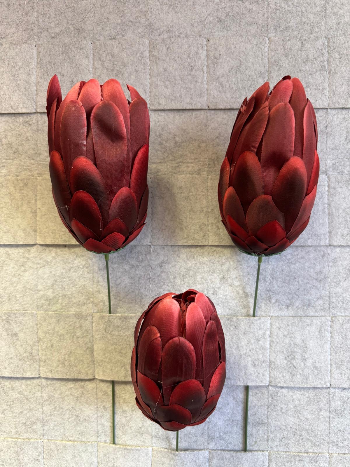 Karczoch/protea