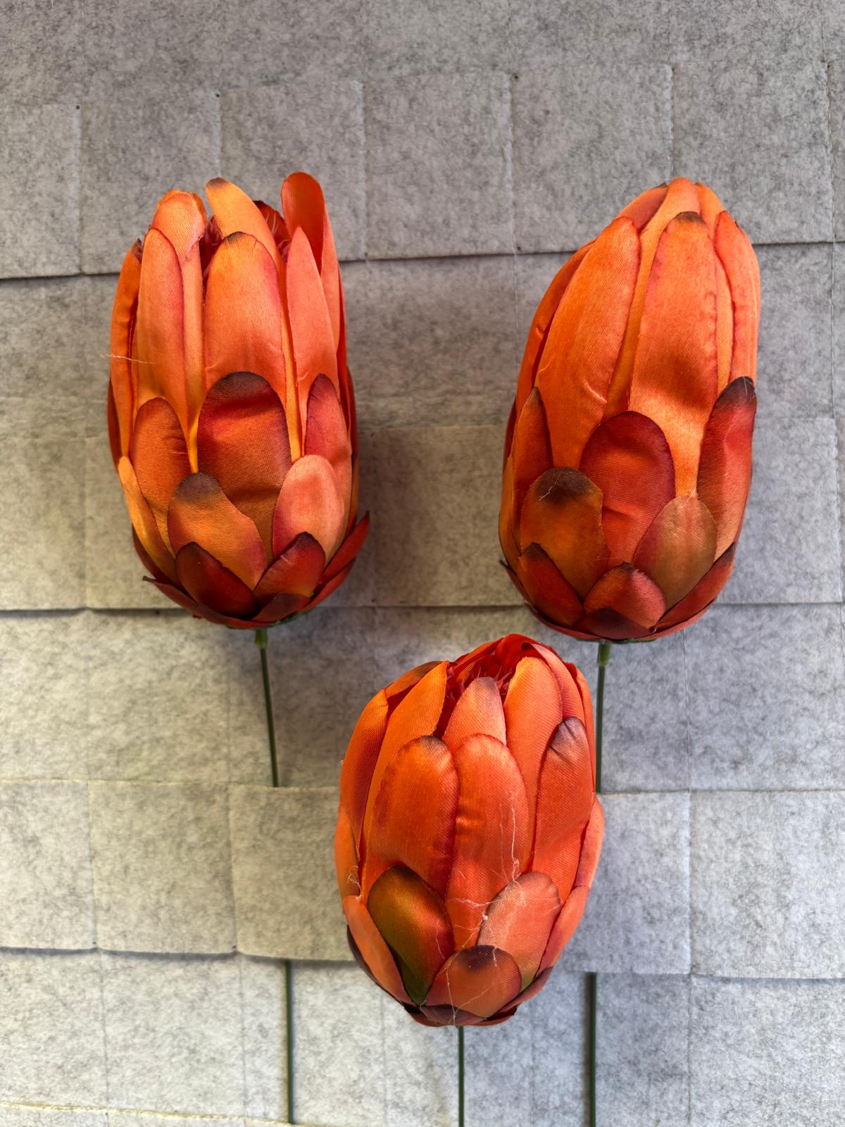Karczoch/protea