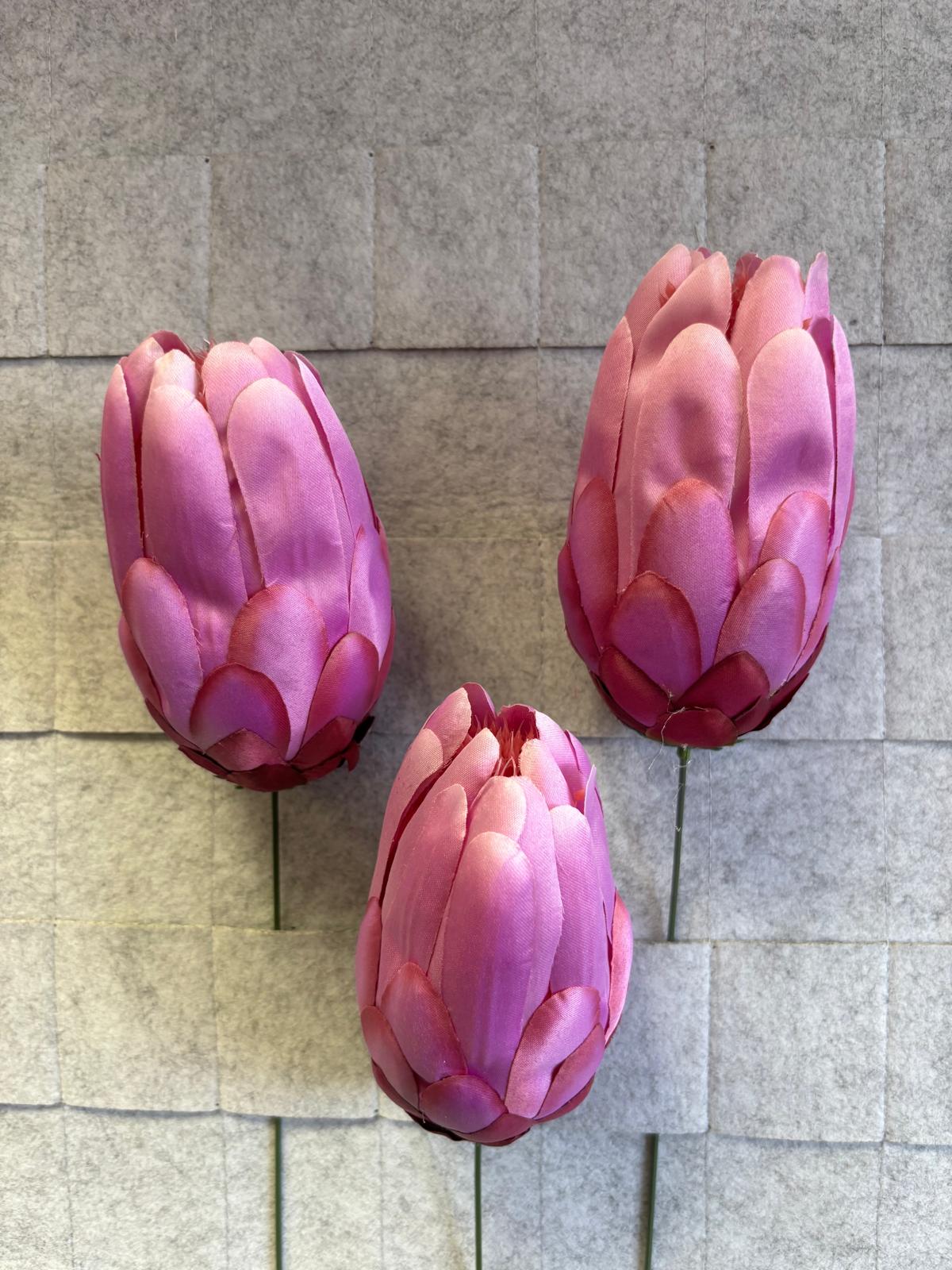 Karczoch/protea