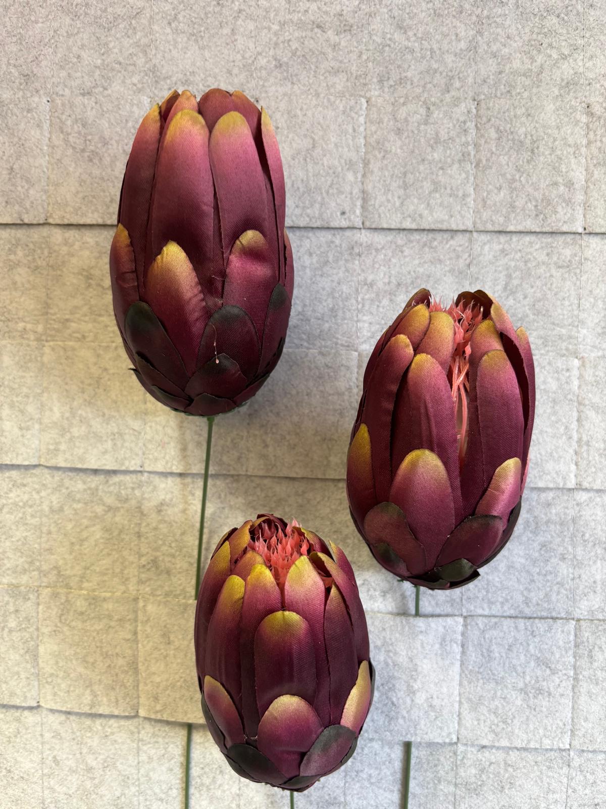Karczoch/protea