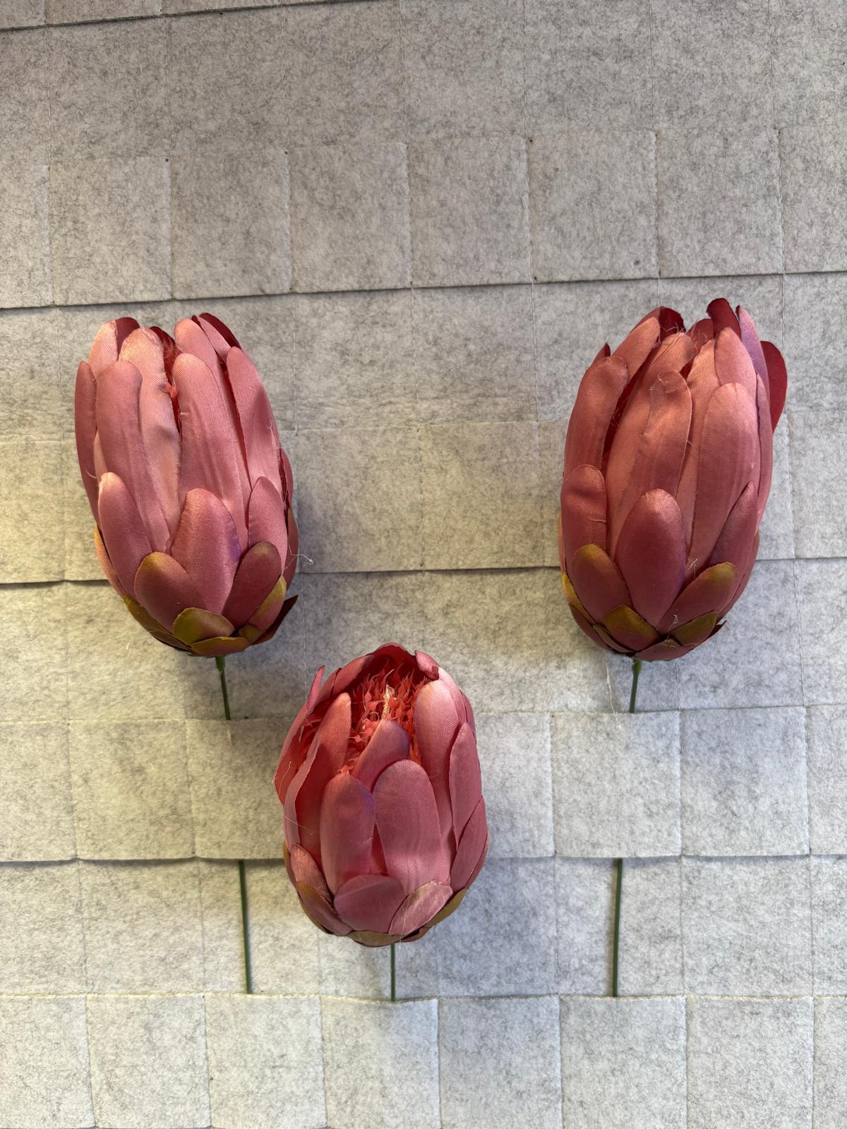 Karczoch/protea