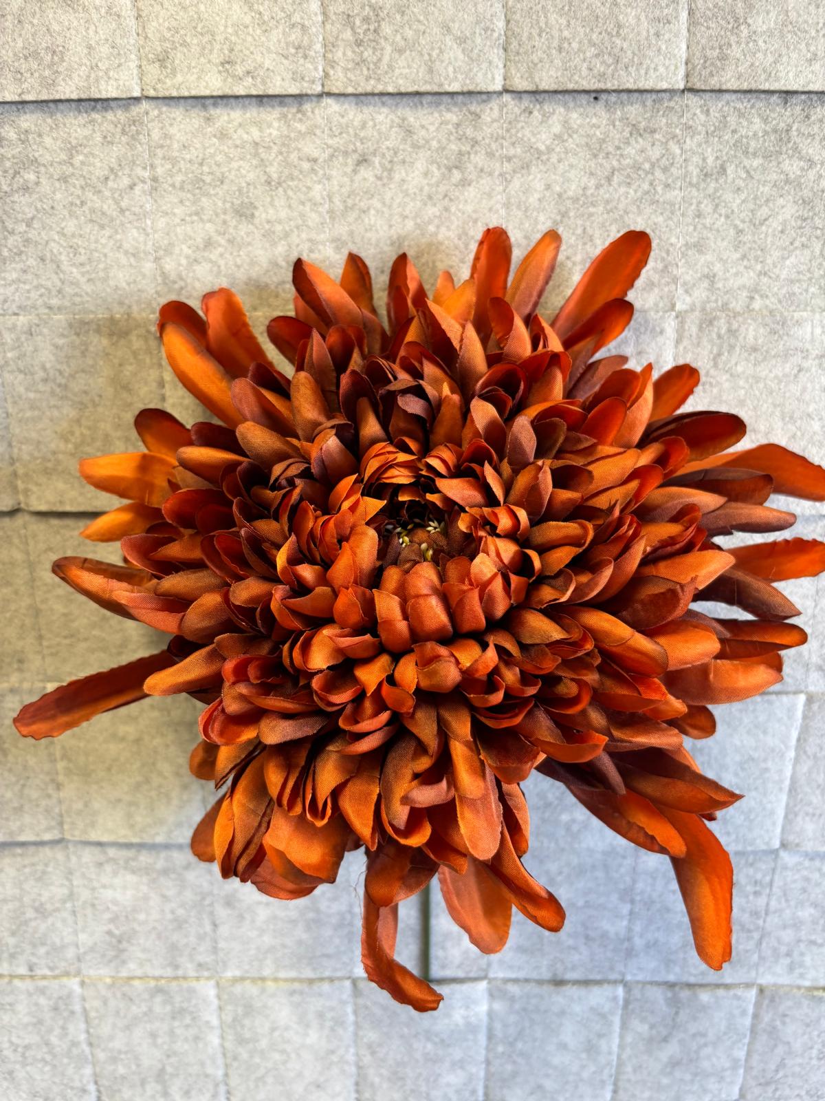 Chryzantema wyrobowa