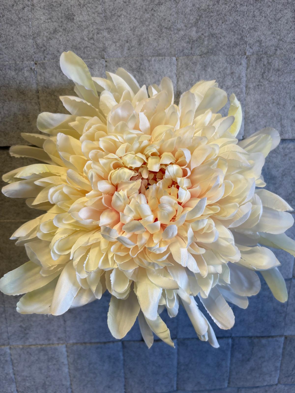 Chryzantema wyrobowa