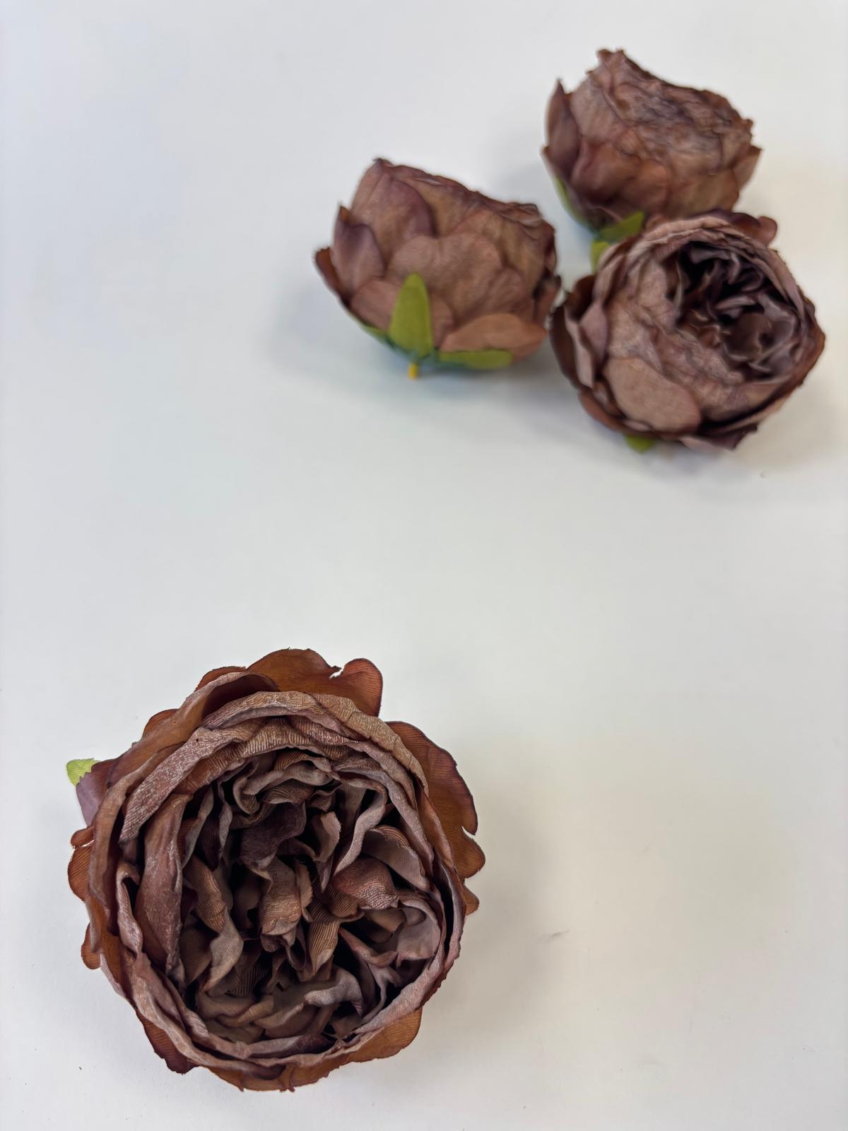 Peonia wyrobowa zasuszona – zdjęcie 4