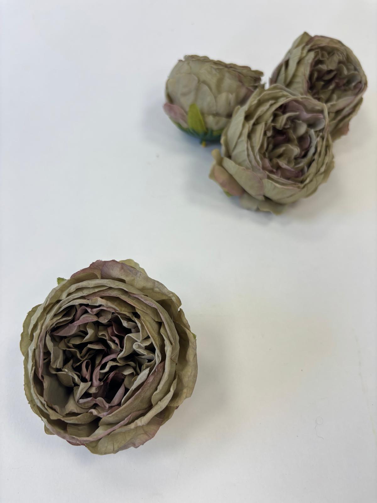 Peonia wyrobowa zasuszona – zdjęcie 4
