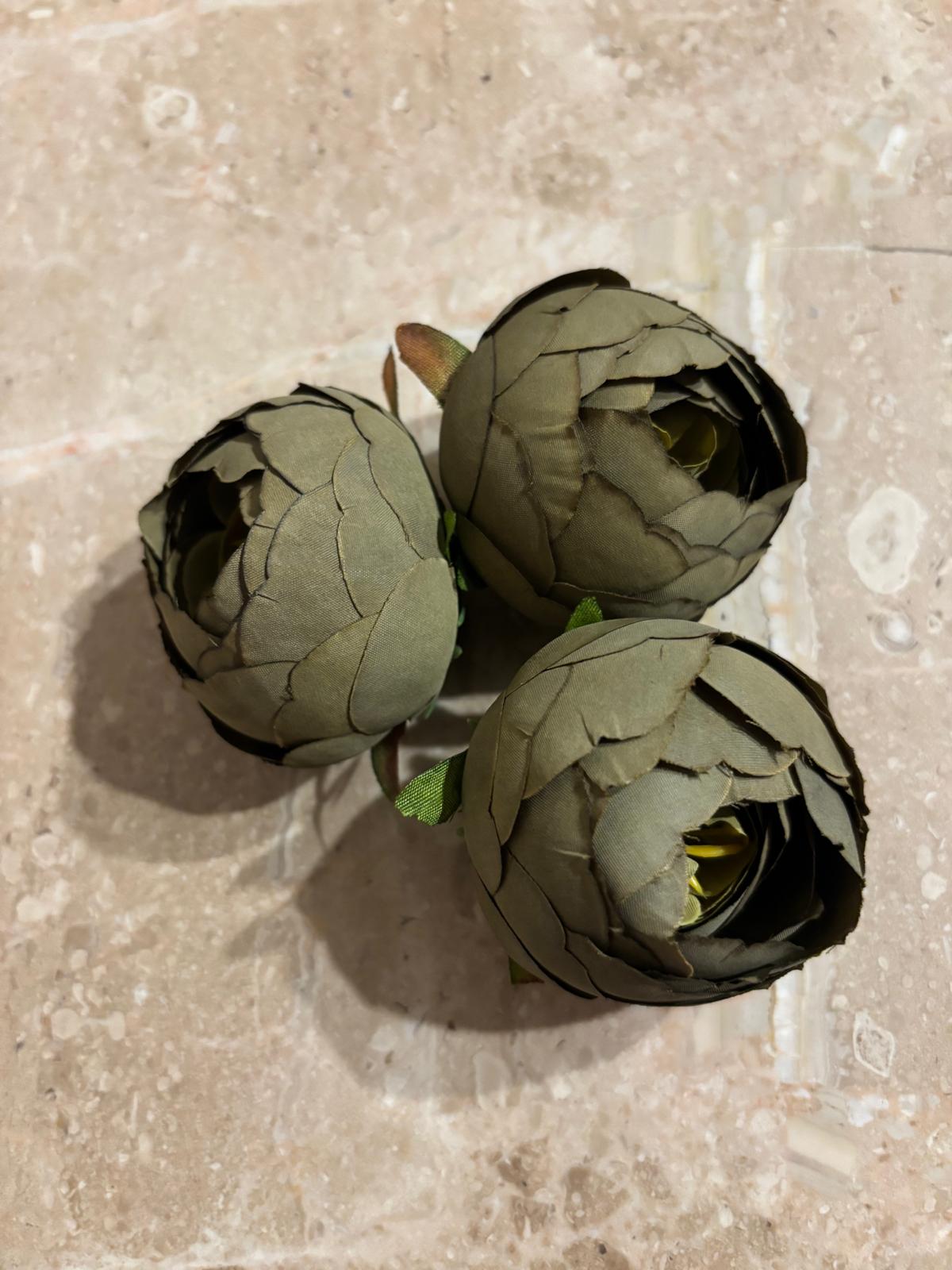 Peonia wyrobowa, satynowa