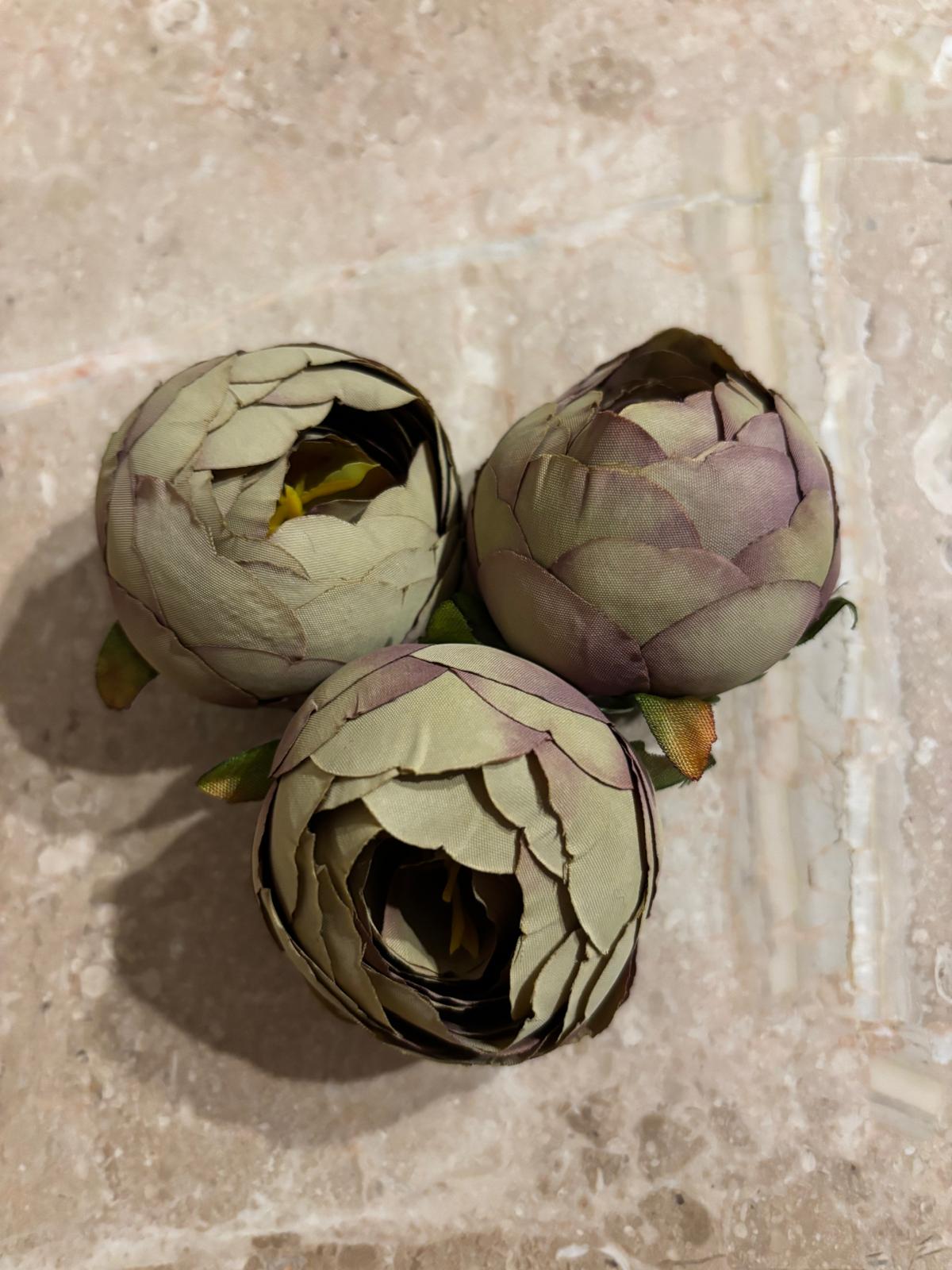 Peonia wyrobowa, satynowa