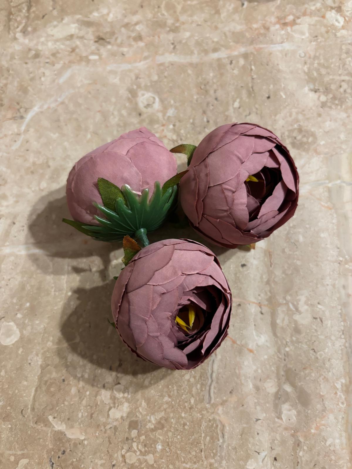 Peonia wyrobowa, satynowa