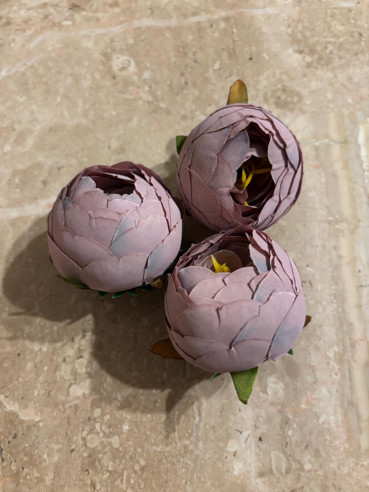 Peonia wyrobowa, satynowa