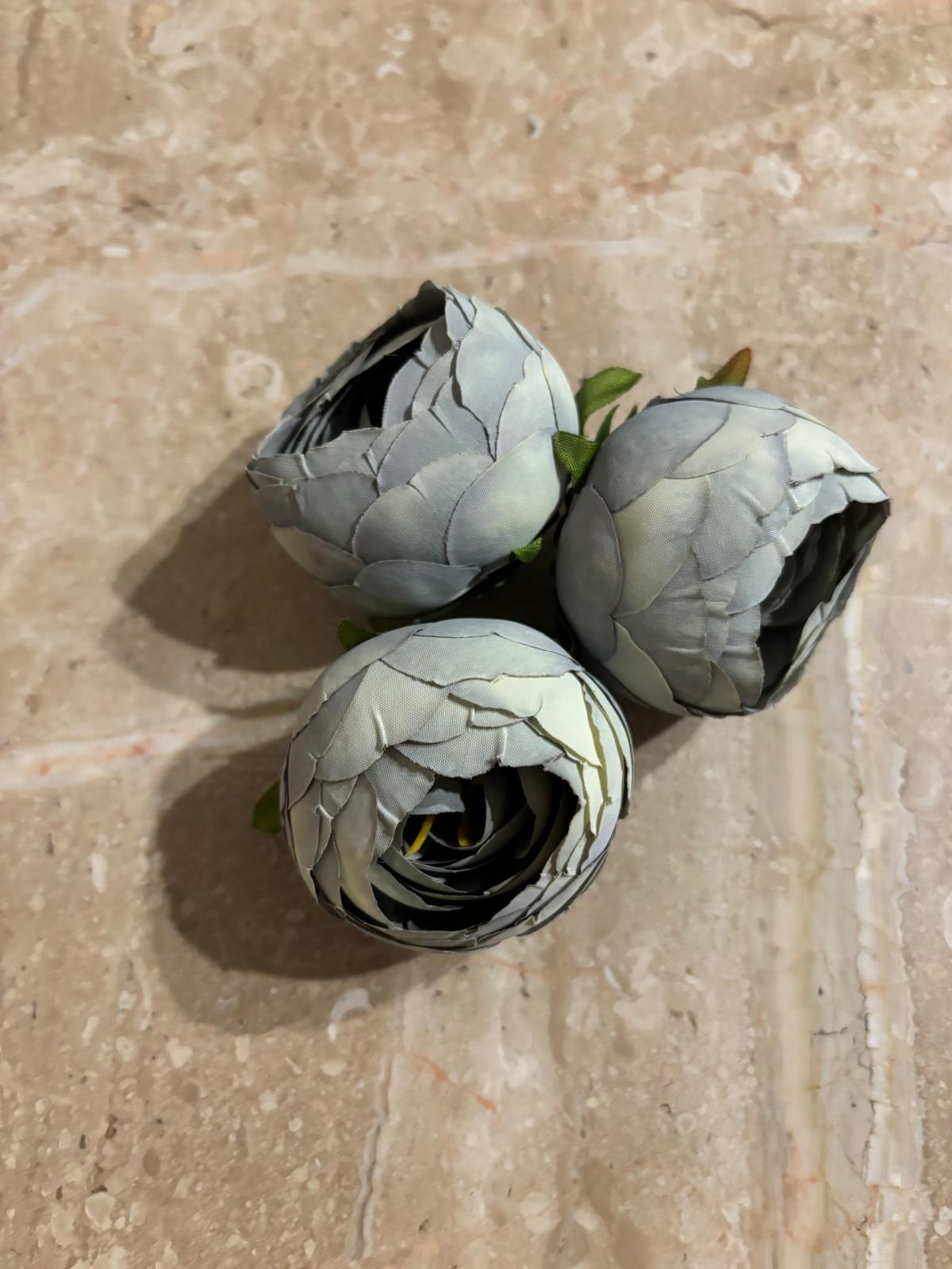 Peonia wyrobowa, satynowa