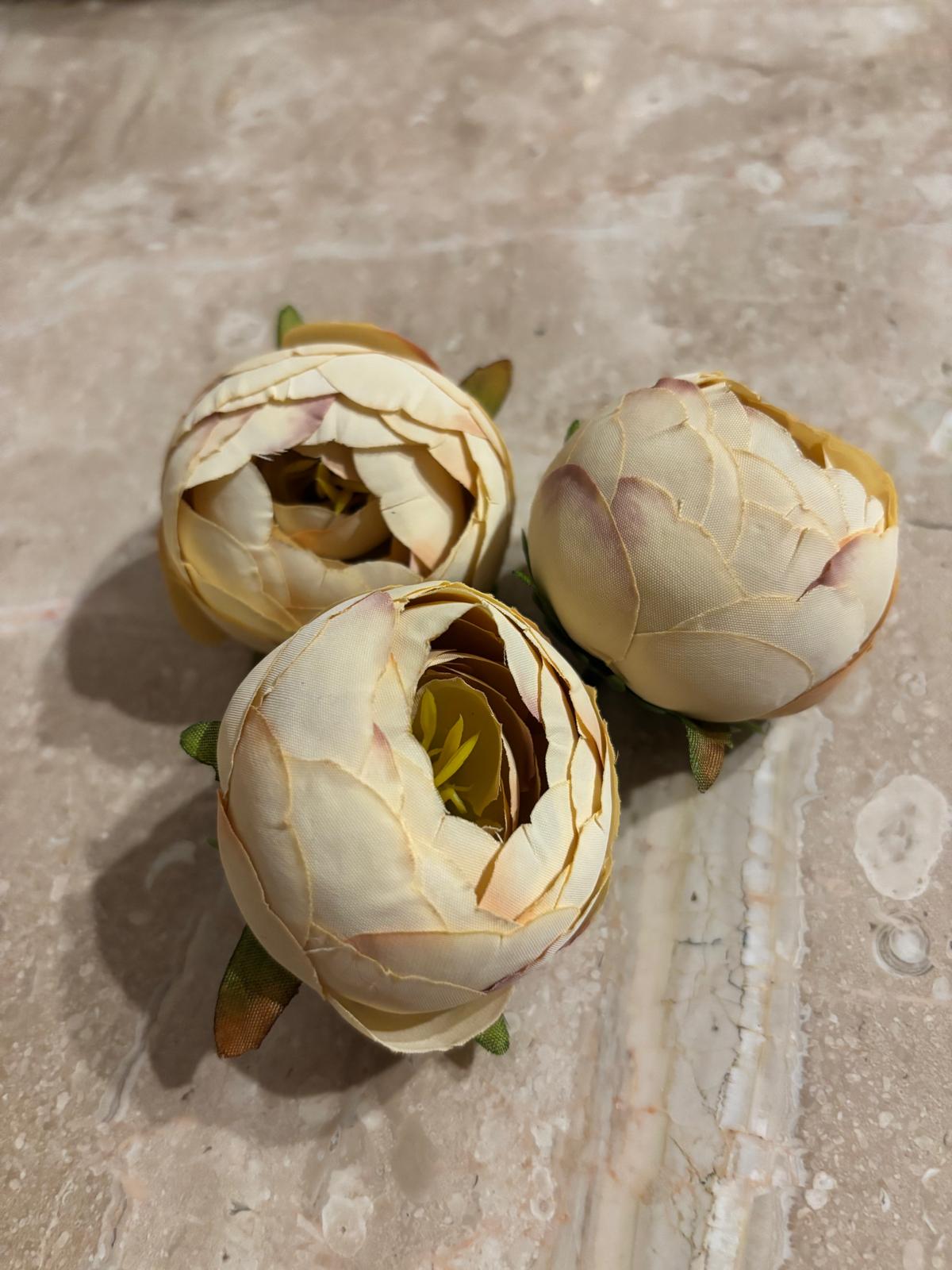 Peonia wyrobowa, satynowa