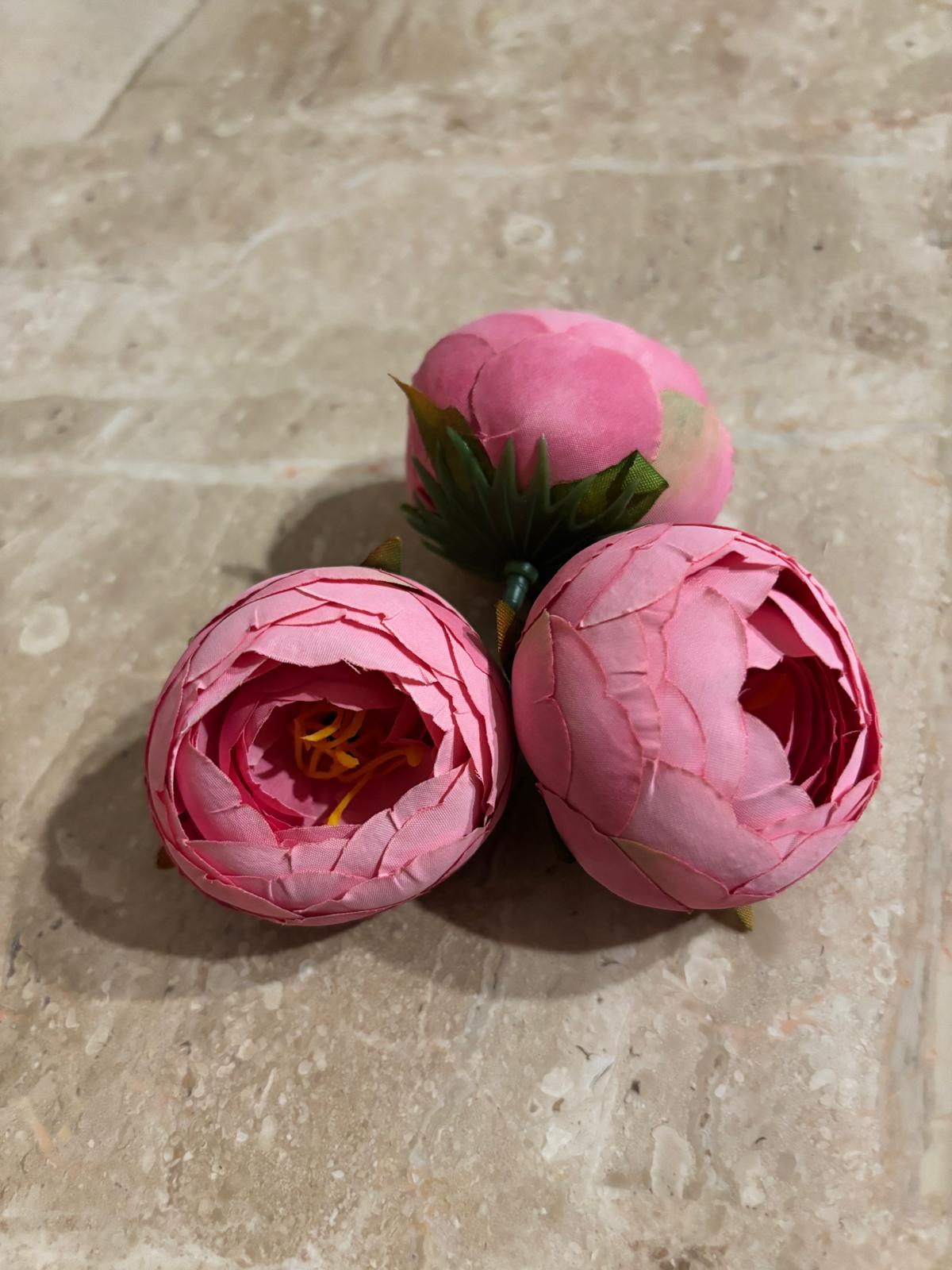 Peonia wyrobowa, satynowa