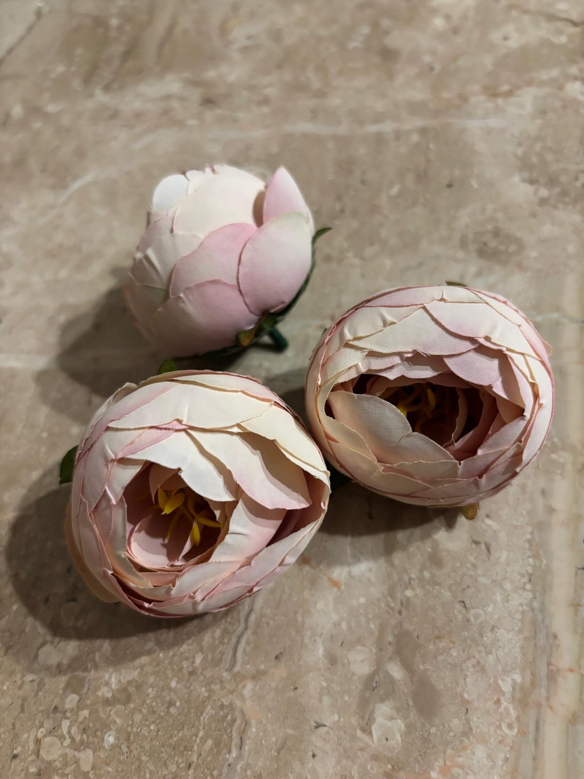 Peonia wyrobowa, satynowa