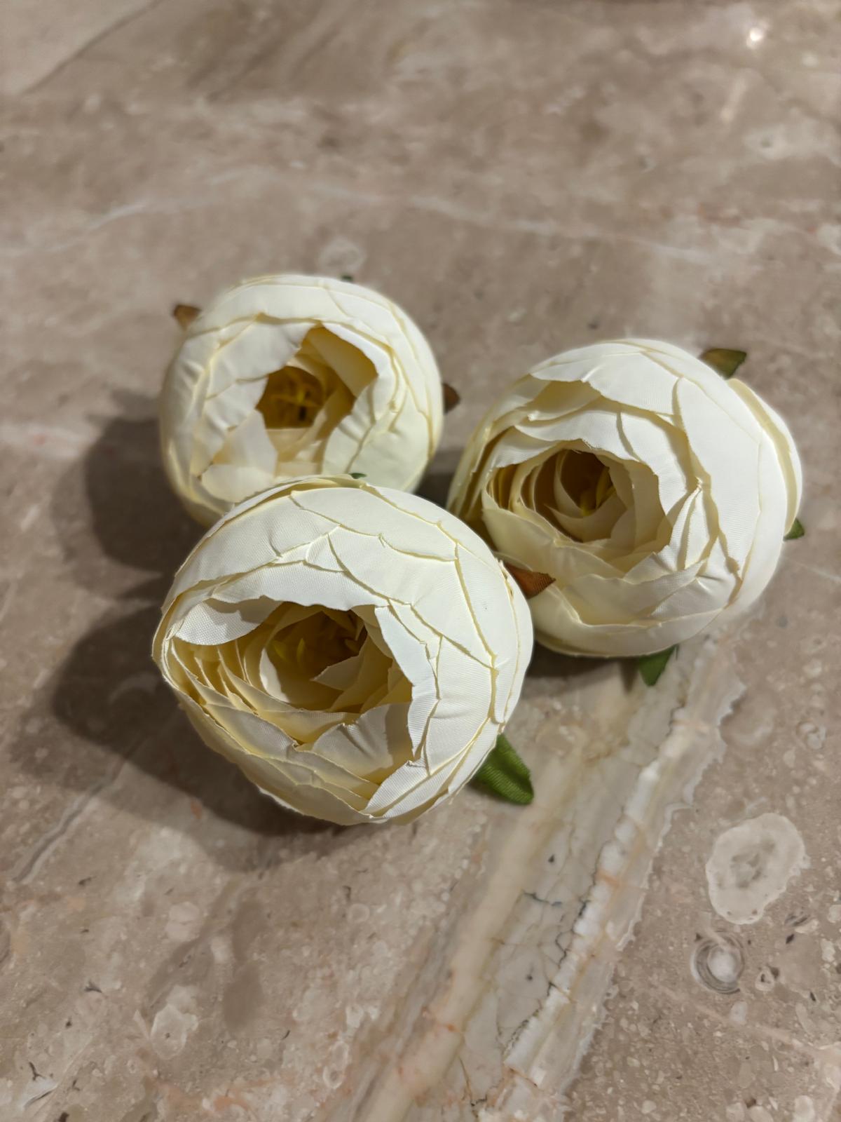 Peonia wyrobowa, satynowa