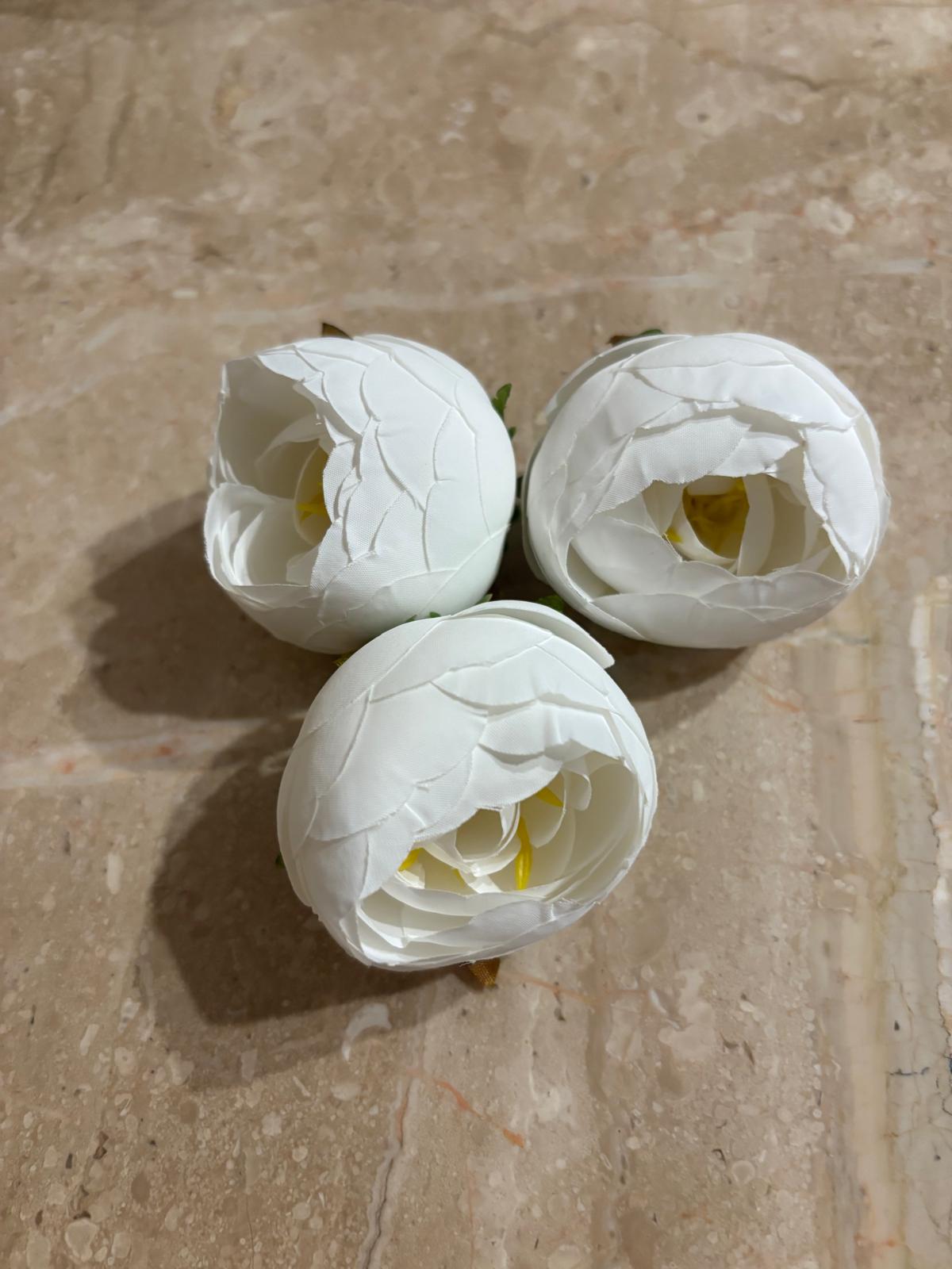 Peonia wyrobowa, satynowa