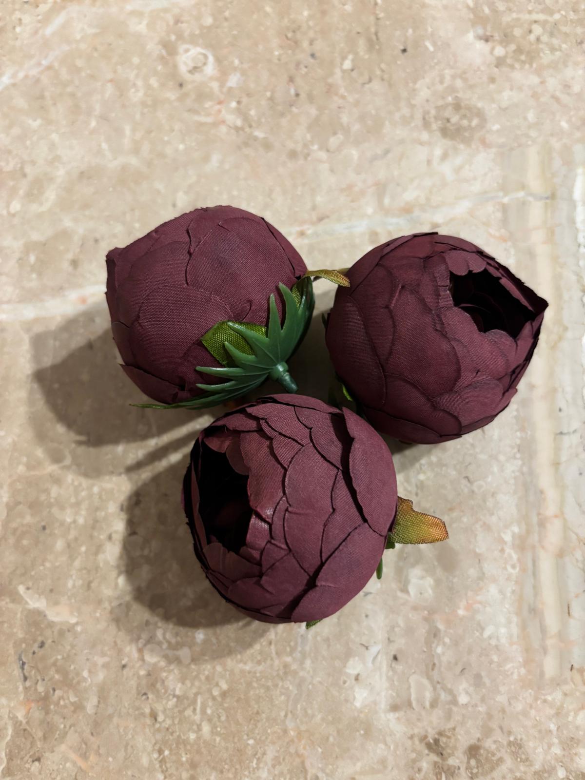 Peonia wyrobowa, satynowa