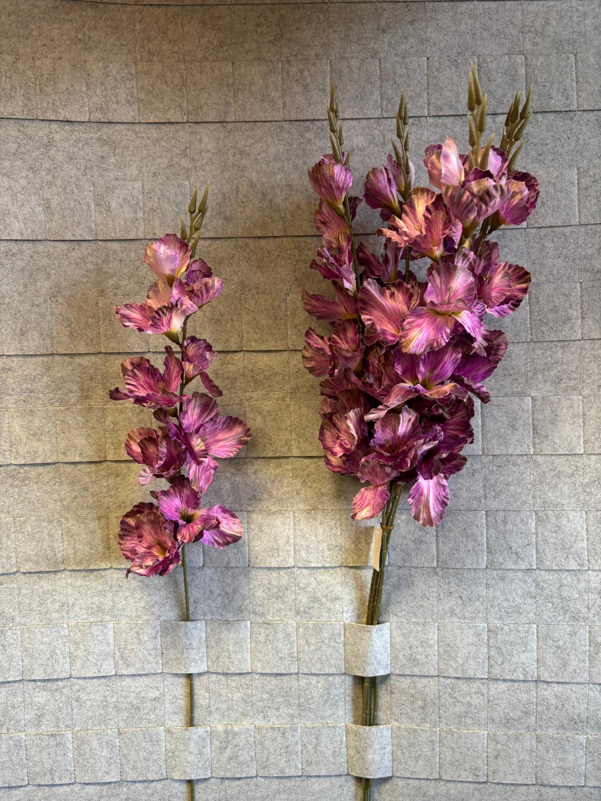 Mieczyk satynowy 3D (GLADIOLA)