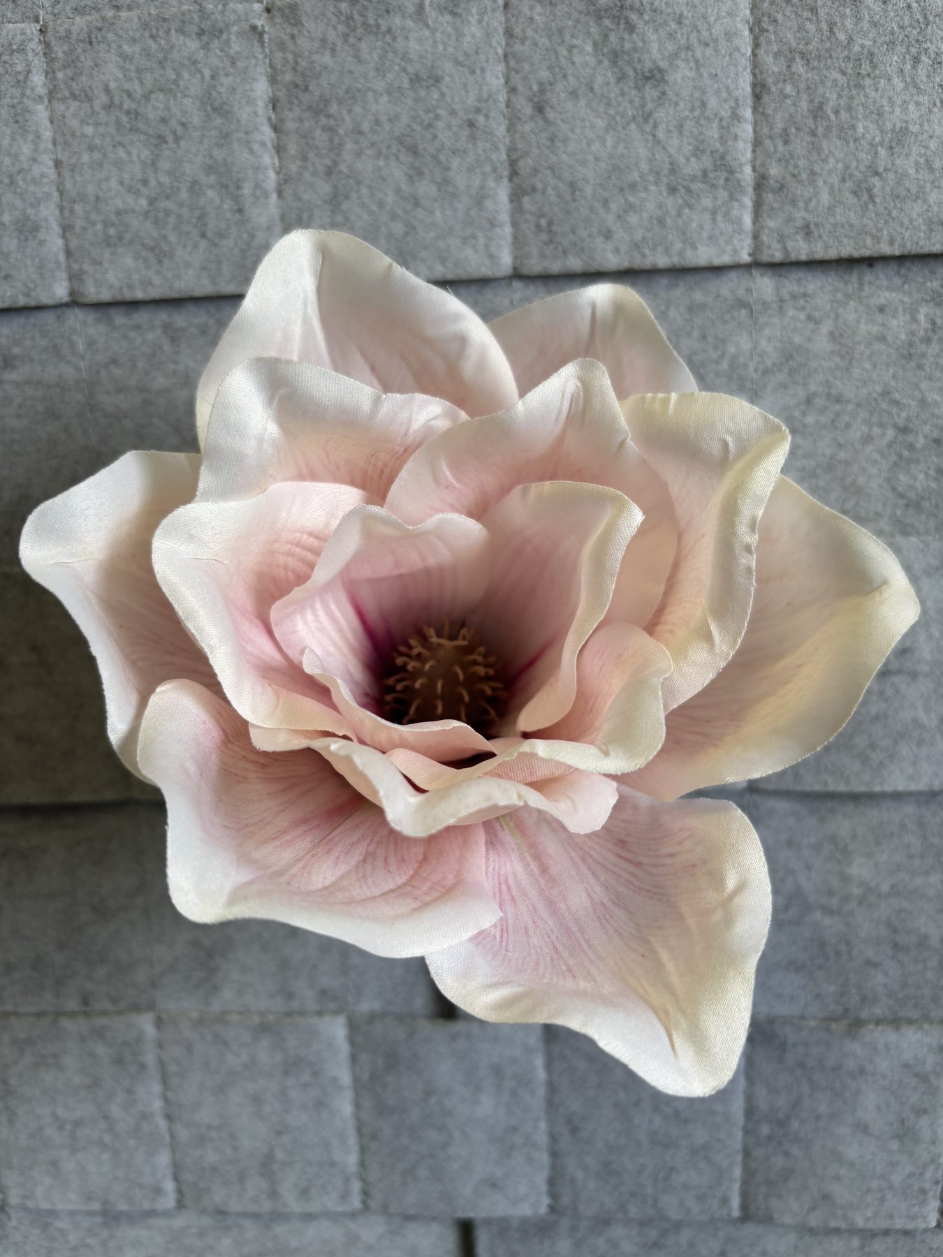 Magnolia satynowa, wyrobowa