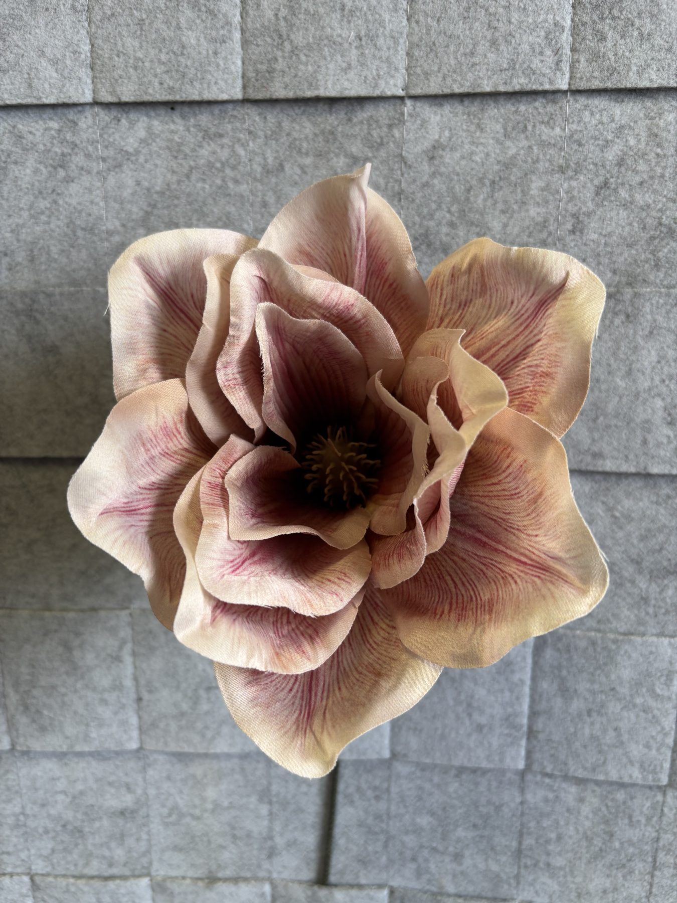 Magnolia satynowa, wyrobowa