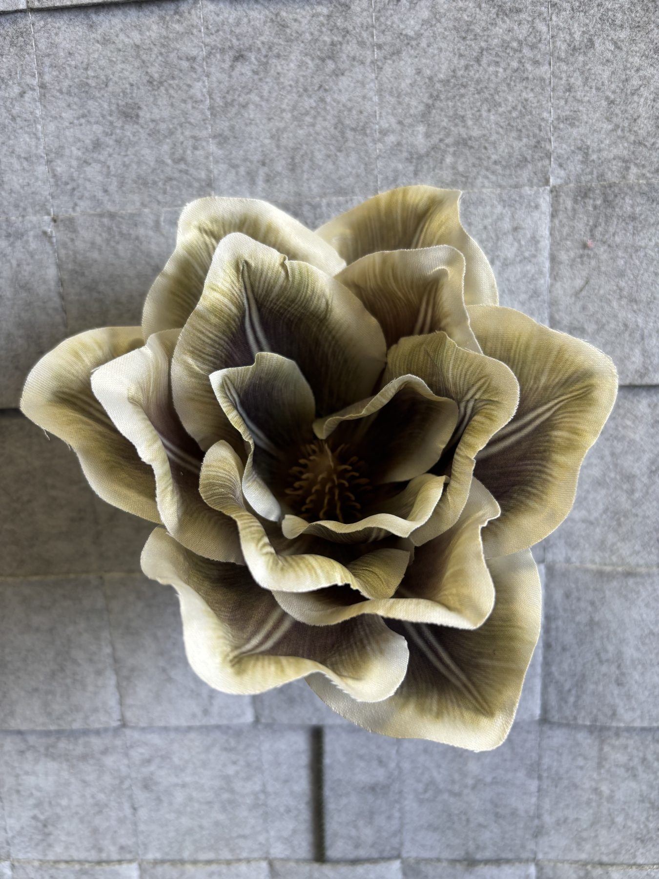 Magnolia satynowa, wyrobowa