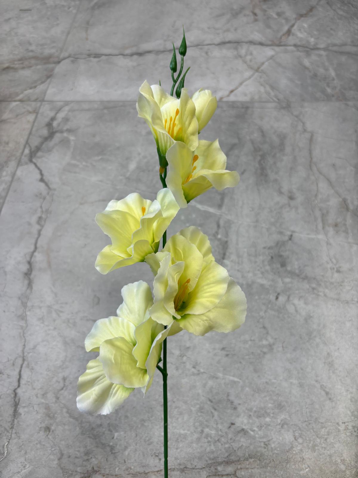 Mieczyk satynowy CREAM GREEN L004