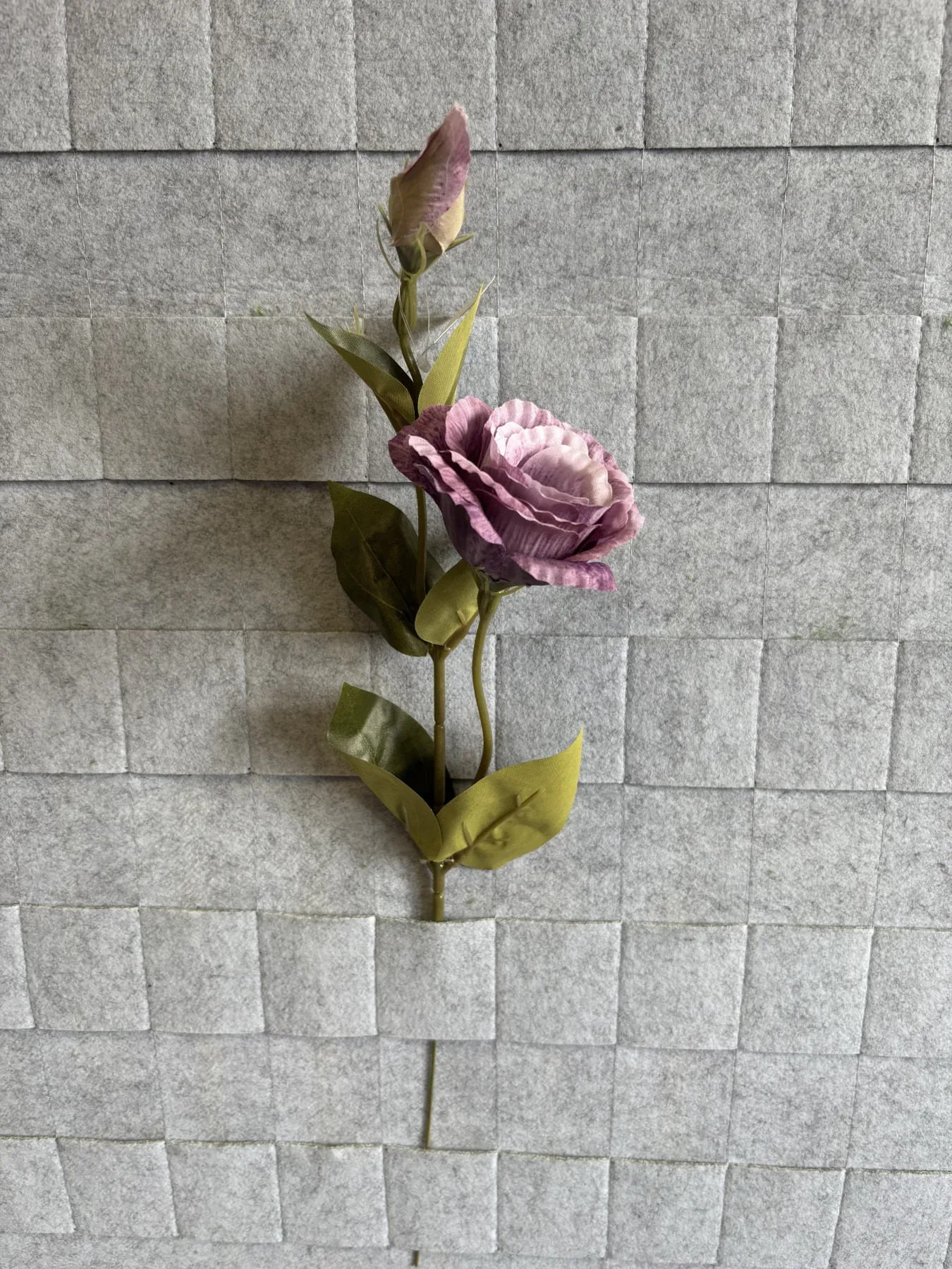 Eustoma gałązkowa