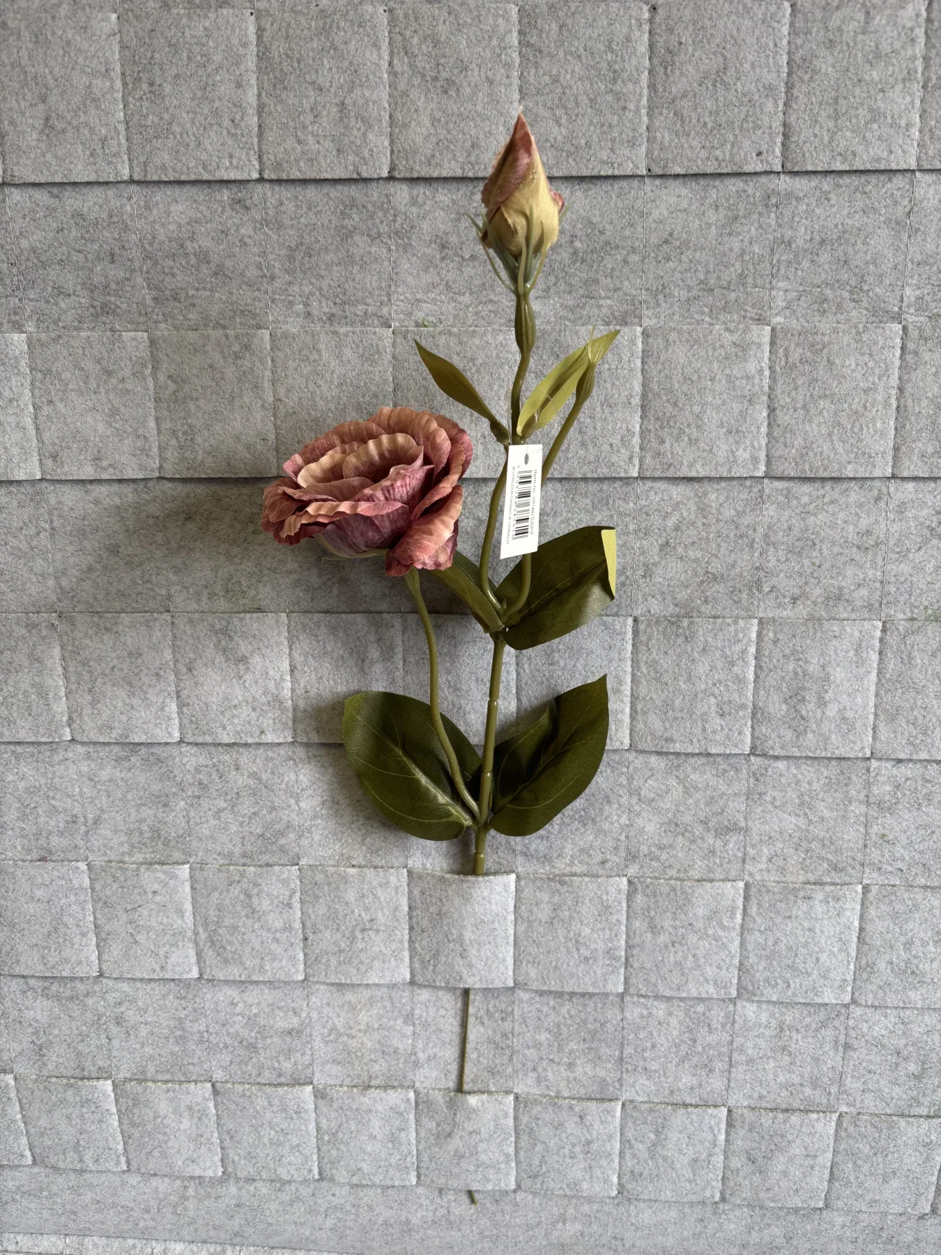 Eustoma gałązkowa