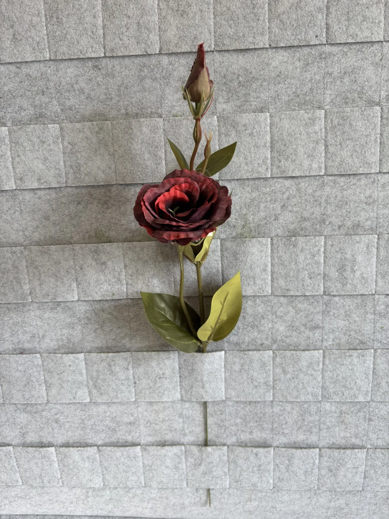 Eustoma gałązkowa
