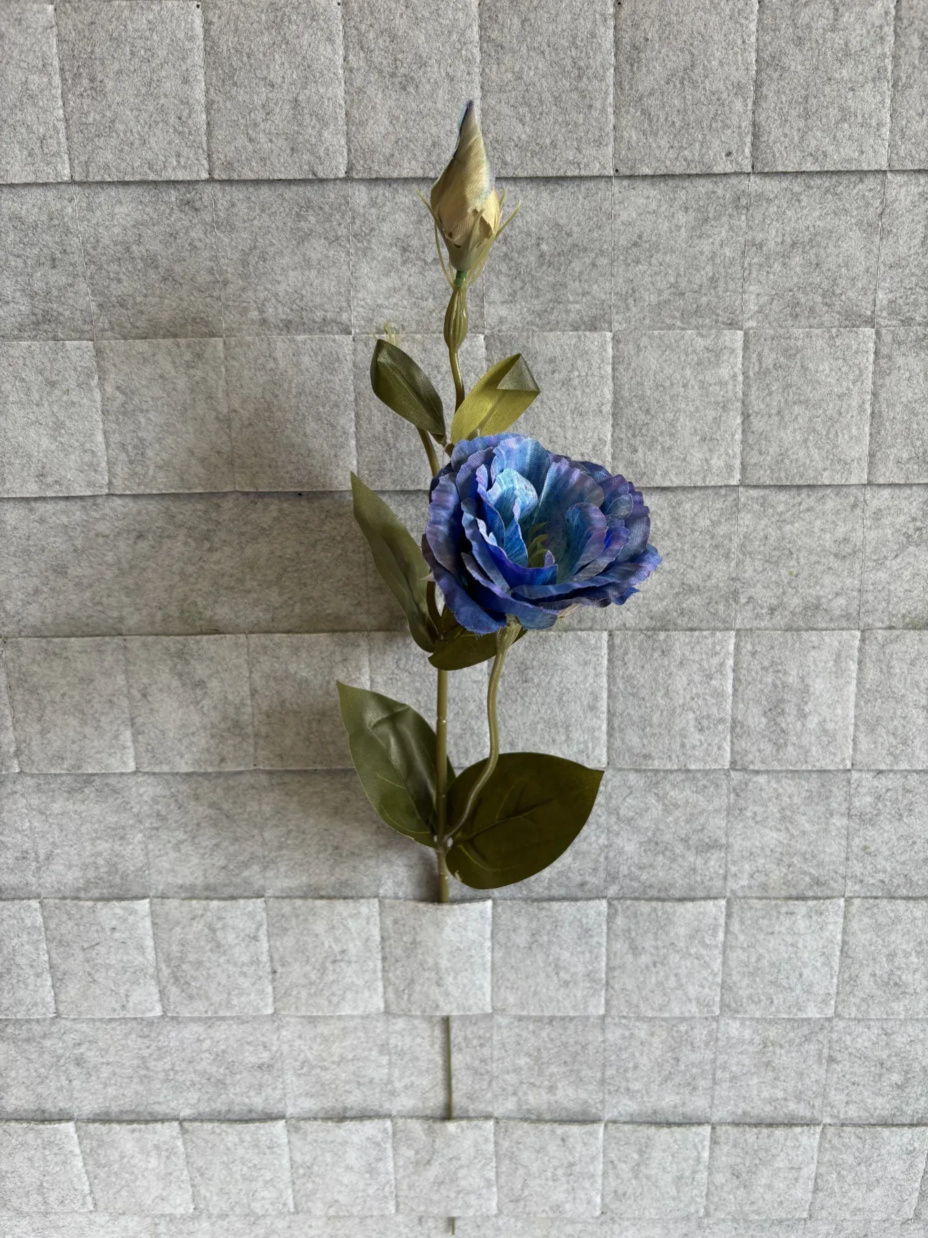 Eustoma gałązkowa