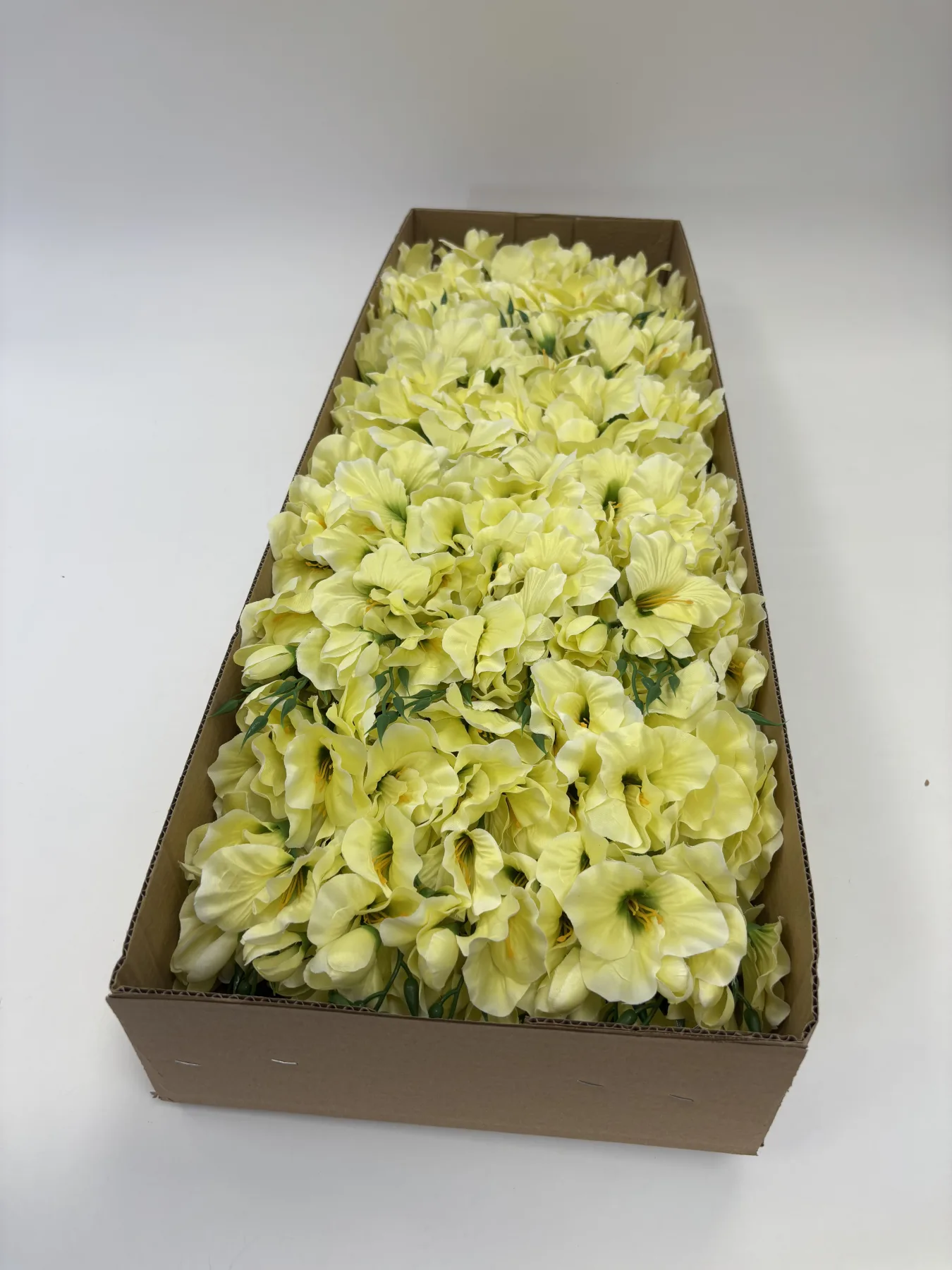 Mieczyk satynowy CREAM GREEN L004 – zdjęcie 2